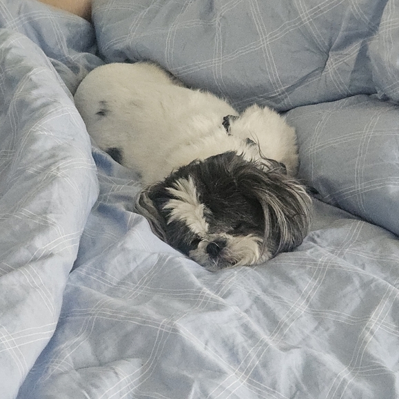 Meet your Posher, Justin - Picture 2 of 2